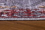 Conceptum Soul Chenille - Red AL 134 Multicolor 150 x 230 cm
